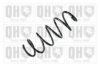 QUINTON HAZELL QCS8091 Coil Spring